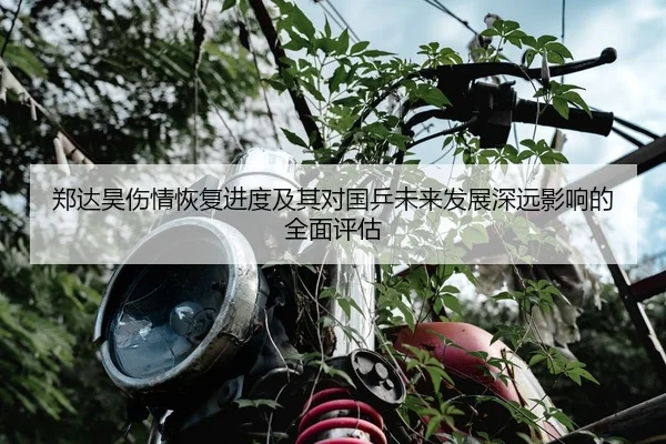 郑达昊伤情恢复进度及其对国乒未来发展深远影响的全面评估